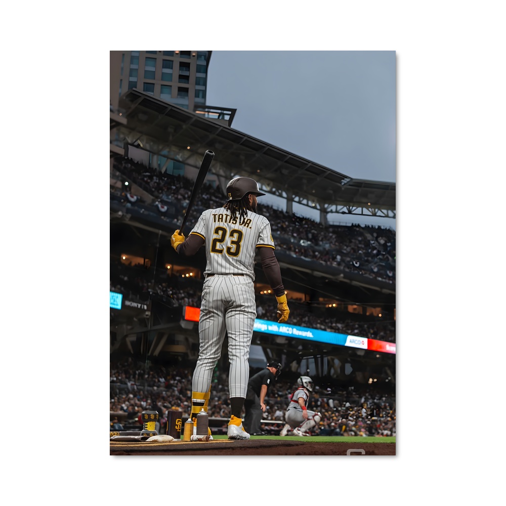 Poster Fernando tatis dégagée